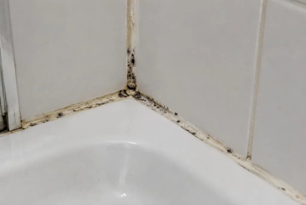 Kitbedrijf Enschede – beschimmelde kitranden